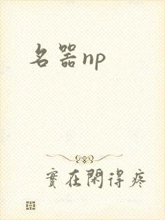 名器np