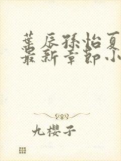 叶辰孙怡夏若雪最新章节小说心