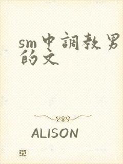 sm中调教男m的文封面
