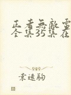 正者无敌电视剧全集35集在线播放