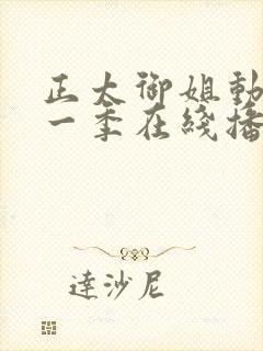 正太御姐动漫第一季在线播放免费观看