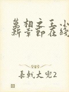 万相之王小说最新章节在线