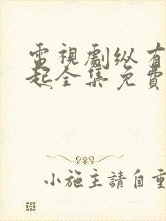 电视剧纵有疾风起全集免费播放