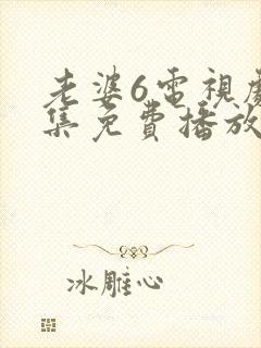 老婆6电视剧全集免费播放西瓜