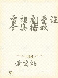 电视剧爱没有错全集播放