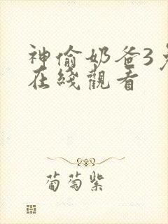 神偷奶爸3免费在线观看封面