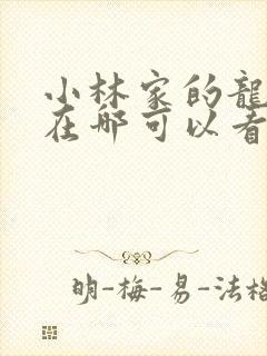 小林家的龙女仆在哪可以看