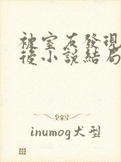 被室友发现秘密后小说结局