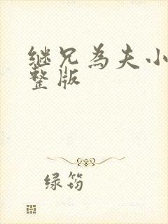 继兄为夫小说完整版