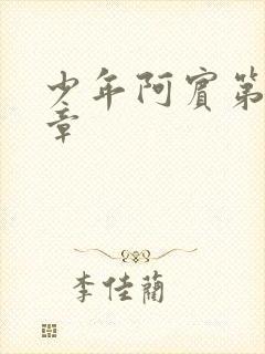 少年阿宾第二十章