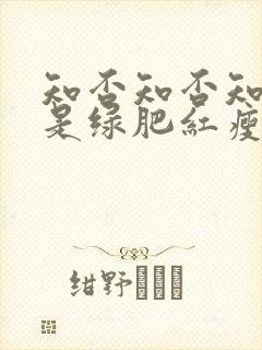 知否知否知否应是绿肥红瘦哪个季节