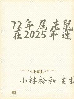 72年属老鼠的在2025年运气怎样