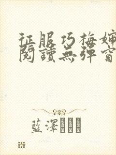 征服巧梅婶全文阅读无弹窗笔趣阁封面