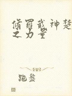 修罗武神楚枫神之力量