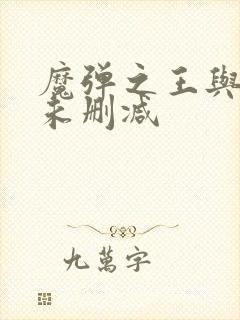 魔弹之王与战姬未删减