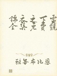 锦衣之下电视剧全集免费观看高清