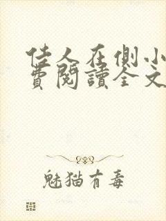 佳人在侧小说免费阅读全文无弹窗