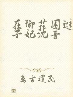 在御花园进入太子妃沈音