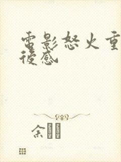 电影怒火重案观后感