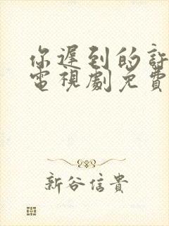 你迟到的许多年电视剧免费全集封面