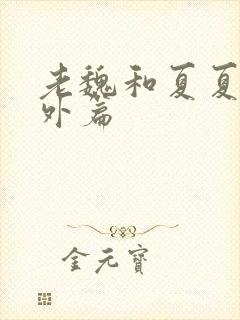 老魏和夏夏的番外篇