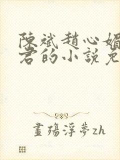 陈斌赵心媚高婉君的小说免费阅读封面