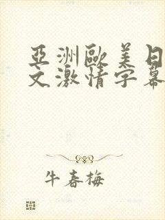 亚洲欧美日韩中文激情字幕