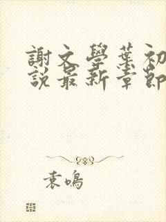 谢文学叶初瑗小说最新章节免费阅读