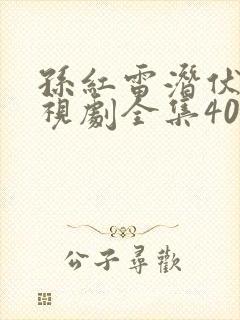 孙红雷潜伏者电视剧全集40集免费观看