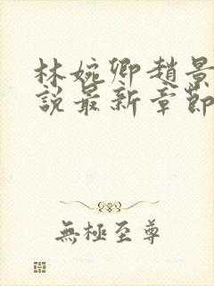 林婉卿赵景玄小说最新章节更新内容