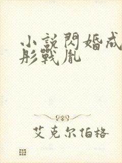 小说闪婚成宠海彤战胤