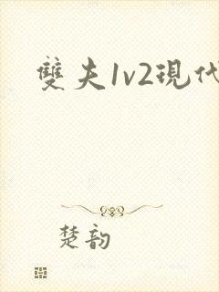 双夫1v2现代