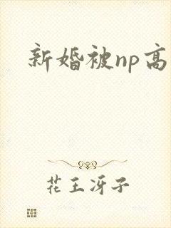 新婚被np高h