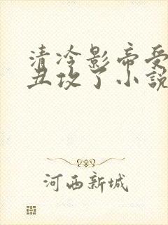 清冷影帝受老肥丑攻了小说免费阅读