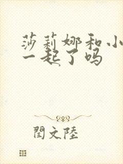 莎莉娜和小智在一起了吗封面