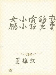 女小偷的惩罚王鹏小说免费阅读