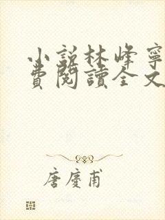 小说林峰宁欣免费阅读全文无弹窗