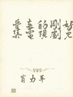 爱来的刚好60集电视剧免费观看