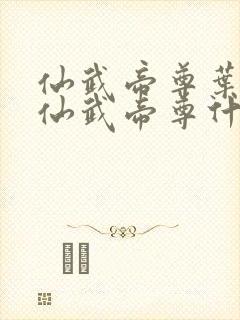 仙武帝尊叶辰和仙武帝尊什么关系