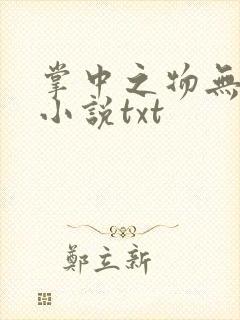 掌中之物无删减小说txt