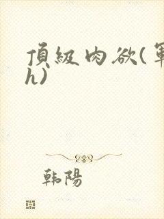 顶级肉欲(军高h)