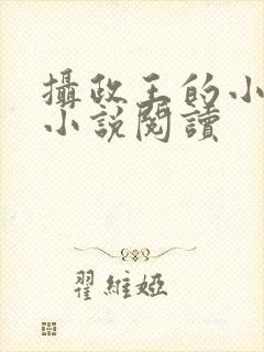 摄政王的小闲妻小说阅读