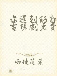 你迟到的许多年电视剧免费观看全集