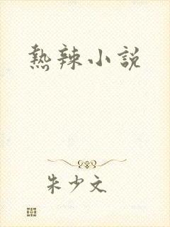 热辣小说