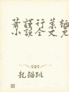 萧谨行叶栖迟的小说全文免费阅读