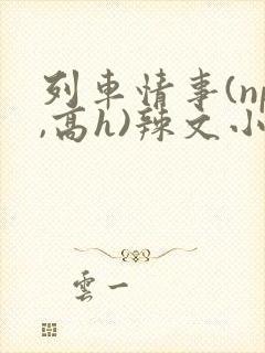 列车情事(np,高h)辣文小