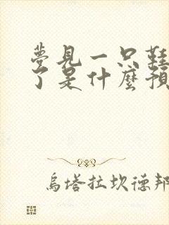 梦见一只鞋子丢了是什么预兆