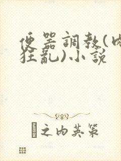 便器调教(肉体狂乱)小说封面