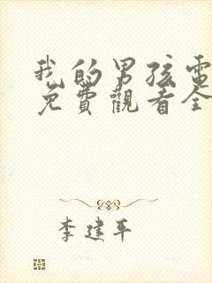 我的男孩电视剧免费观看全集封面