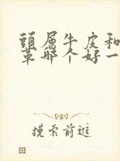 头层牛皮和牛皮革哪个好一些封面